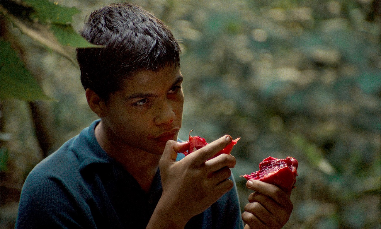 Fotograma de la película 'La jauría', de Andrés Ramírez Pulido. ALTA ROCCA FILMS Fotograma de la película 'La jauría', de Andrés Ramírez Pulido. ALTA ROCCA FILMS