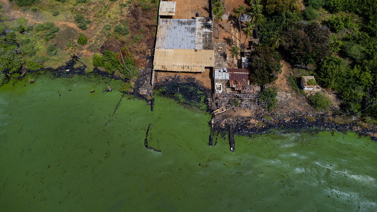 Contaminación en las aguas del lago de Maracaibo, Venezuela, el 12 de julio de 2023. EFE/HENRY CHIRINOS