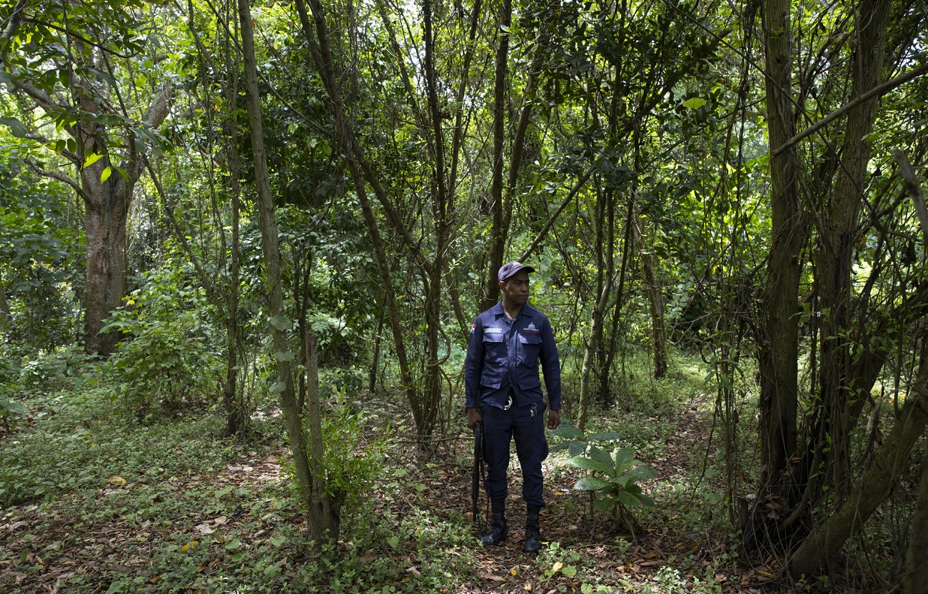 Un guardaparques en un manglar a orillas del río Ozama, en Santo Domingo, el 19 de julio.EFE/ORLANDO BARRÍA