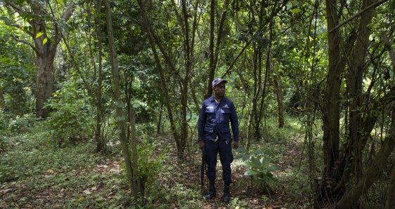 Un guardaparques en un manglar a orillas del río Ozama, en Santo Domingo, el 19 de julio.EFE/ORLANDO BARRÍA