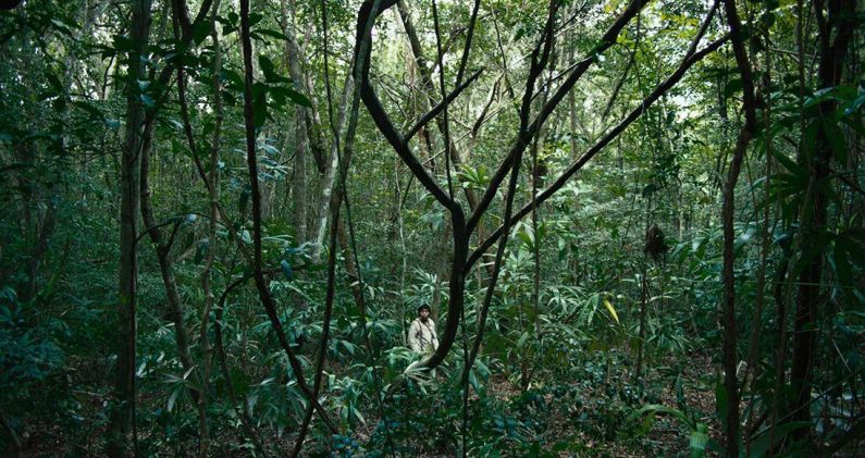 Fotograma de la película Selva trágica, de Yulene Olaizola. MALACOSA CINE