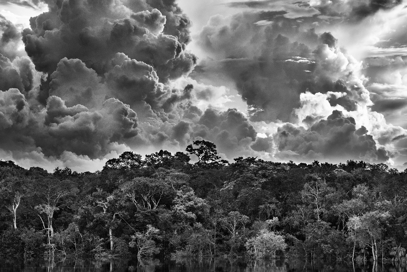 Archipiélago fluvial de Mariuá, Río Negro, estado de Amazonas, Brasil, 2019. © SEBASTIÃO SALGADO