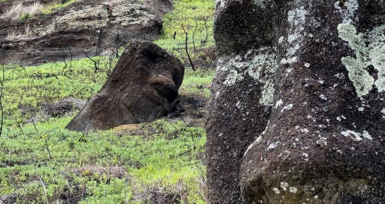 Moáis afectados por el incendio de 2022, en la Isla de Pascua, Chile. EFE/RODRIGO SÁEZ