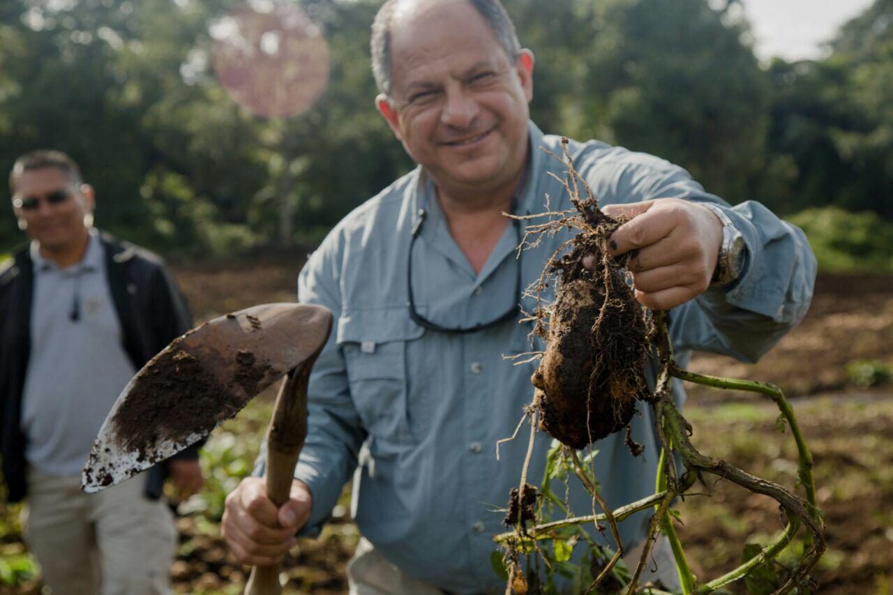 Luis Guillermo Solís, en su finca familiar. CORTESÍA ARCHIVO L.G. SOLÍS