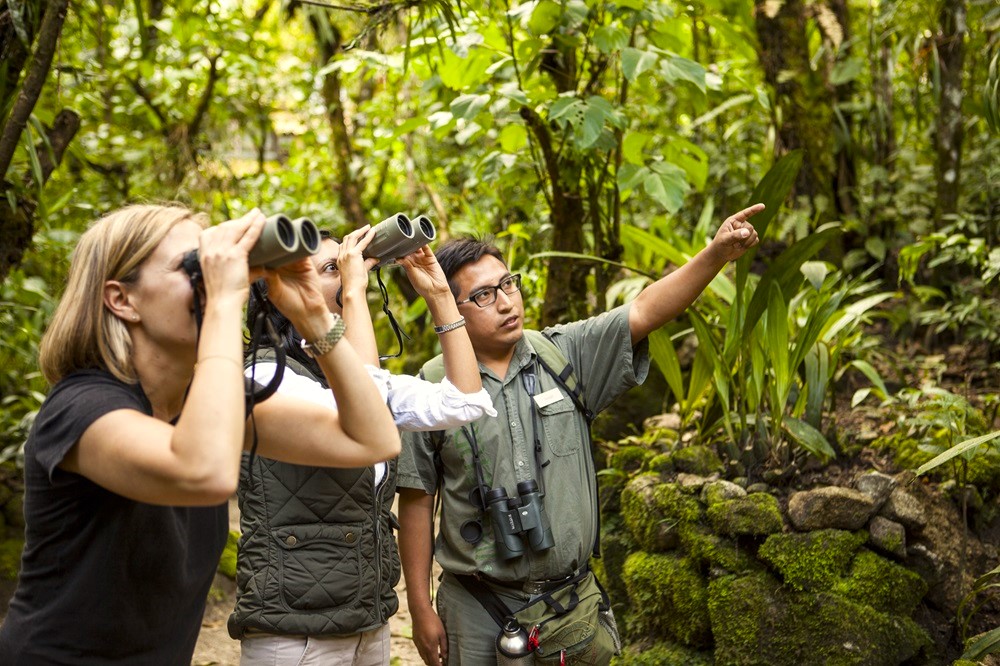 Joseph Quispe, dirigiendo la observación de aves en el bosque nuboso de Machu Picchu, Perú. INKATERRA Joseph Quispe, dirigiendo la observación de aves en el bosque nuboso de Machu Picchu, Perú. INKATERRA