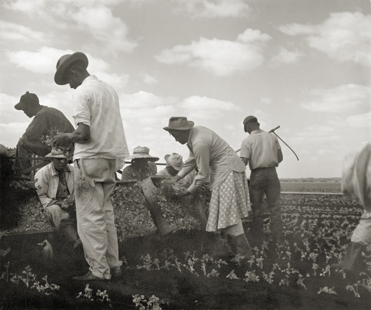 Tennessee, 1950, de Consuelo Kanaga. © BROOKLYN MUSEUM Tennessee, 1950, de Consuelo Kanaga. © BROOKLYN MUSEUM