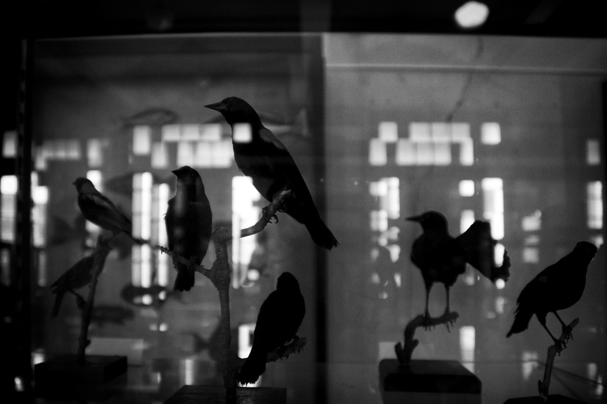 Foto de la serie Agrio tiempo de Juan Pablo Cardona. Foto de la serie Agrio tiempo de Juan Pablo Cardona.