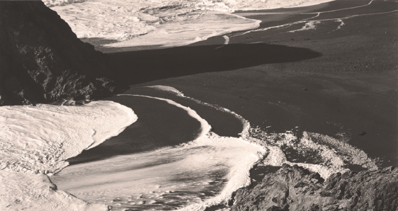Surf, Bodega, 1937. Una de las obras presentes en la exposición 'La materia de las formas' en el KBr Fundación Mapfre, donde Edward Weston eleva lo cotidiano a arte. CEDIDA