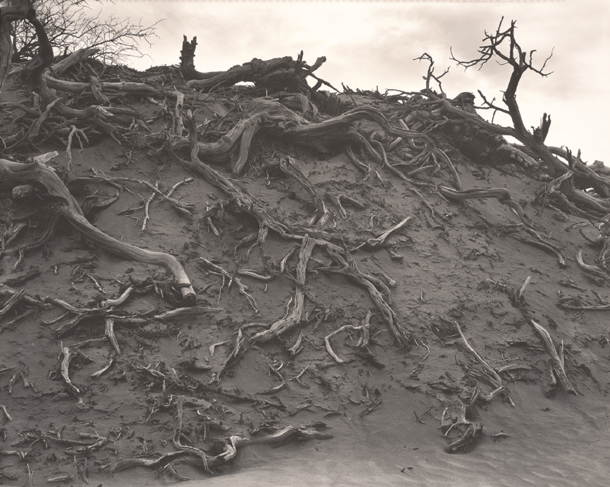 Dunes, Death Valley, 1938. EDWARD WESTON Dunes, Death Valley, 1938. EDWARD WESTON