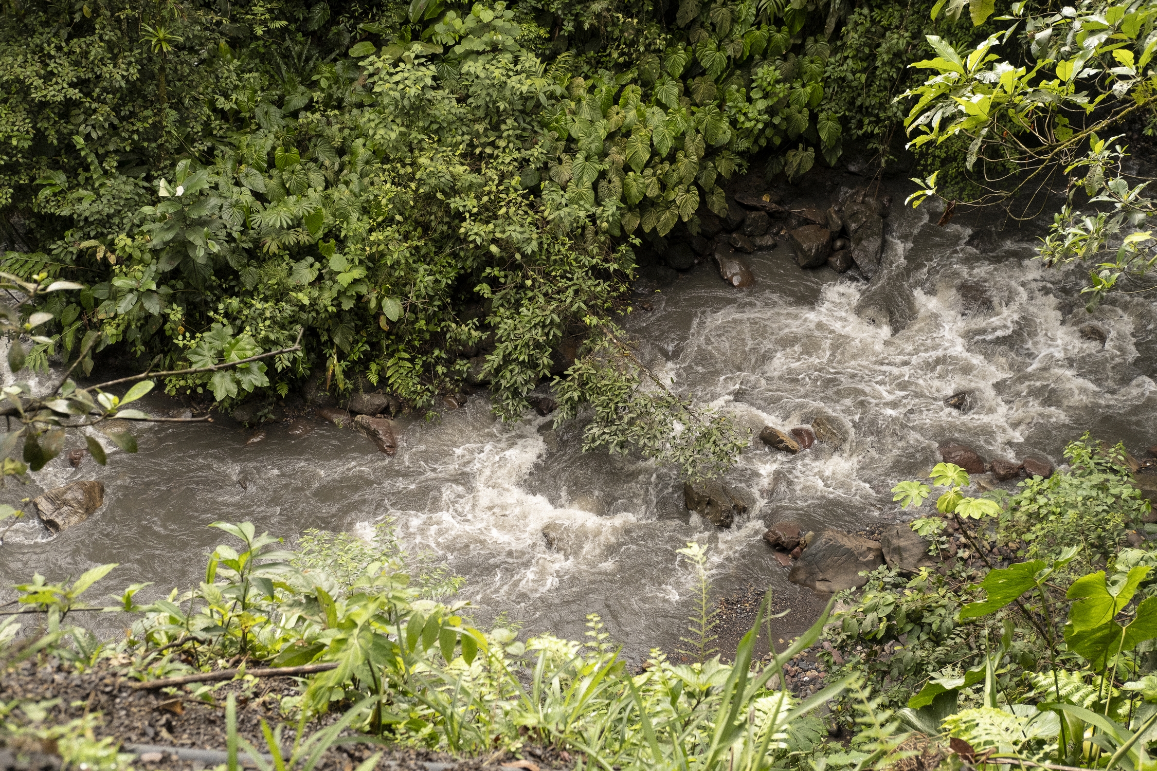 Brazo del rio Guatiquia encañonado en la vereda Puente Abadia, zona rural de Villavicencio. MTQ Brazo del rio Guatiquia encañonado en la vereda Puente Abadia, zona rural de Villavicencio. MTQ