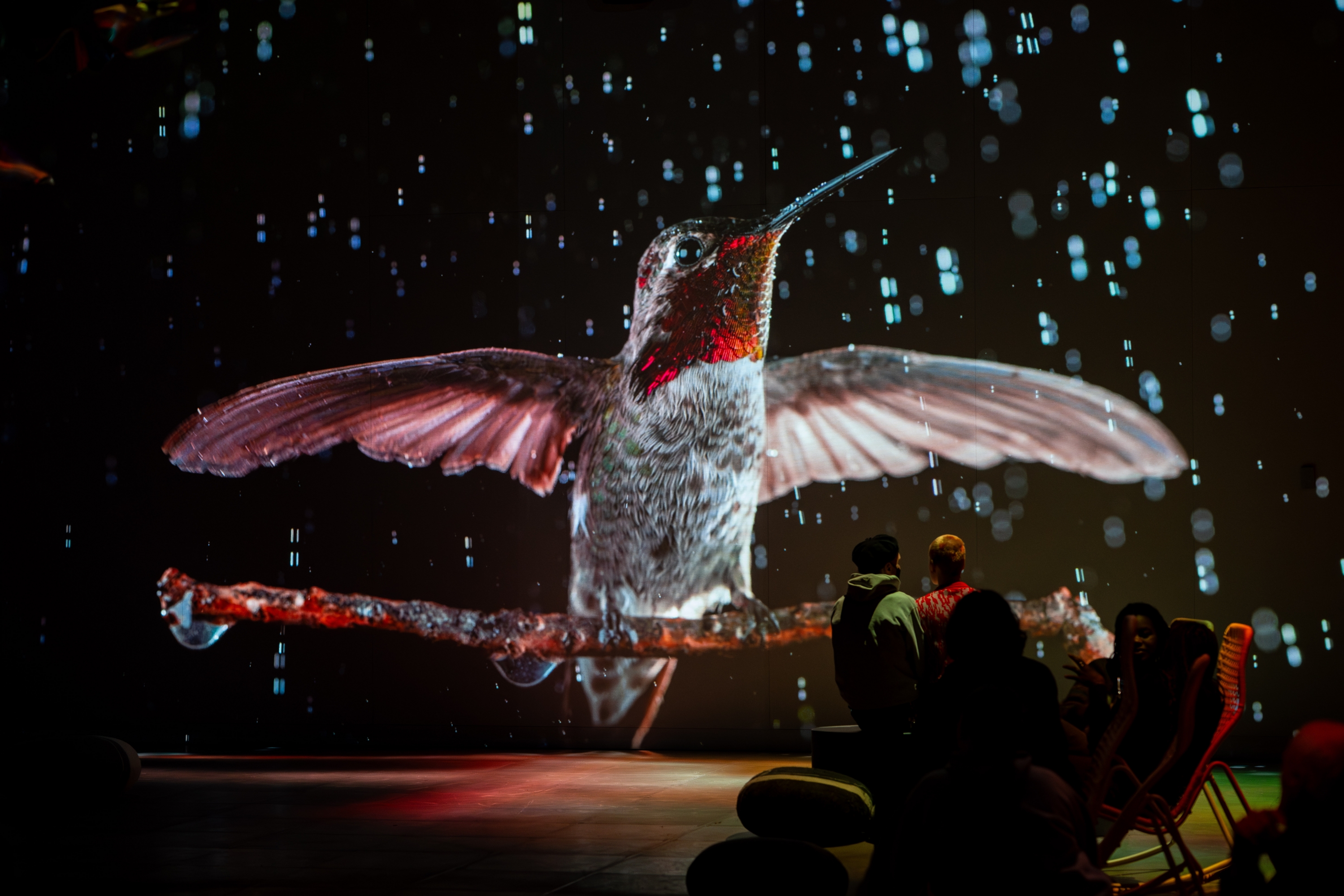 Visitantes en la experiencia inmersiva 'Somos naturaleza', exposición que se celebra en CaixaForum Barcelona. © OASIS Immersive Studios